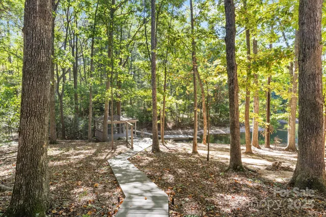 a view of outdoor space with lots of trees