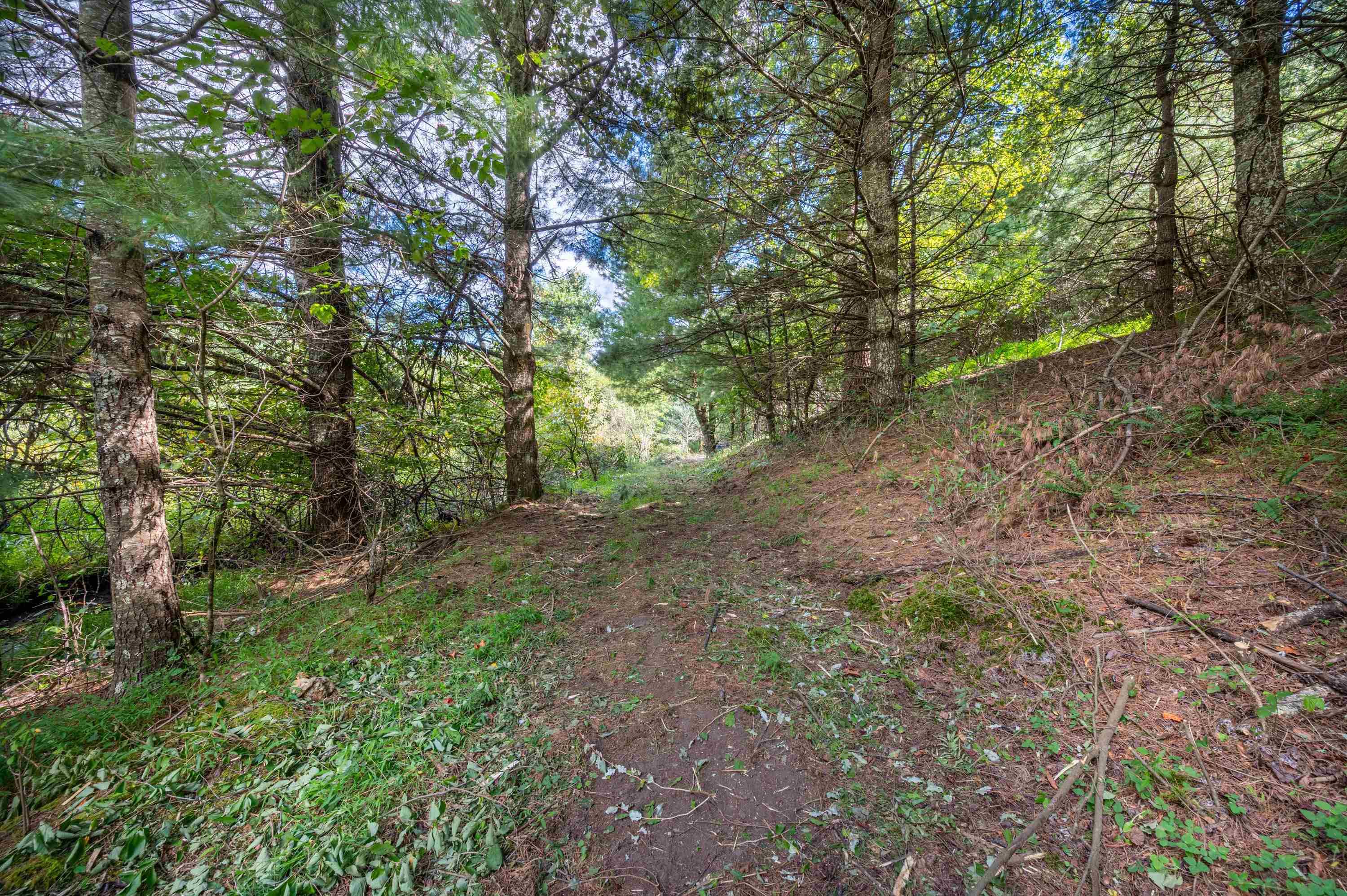1286 Cox Store Road Southwest Floyd, VA 24091 - Photo 4 of 32 Gallery Image 4