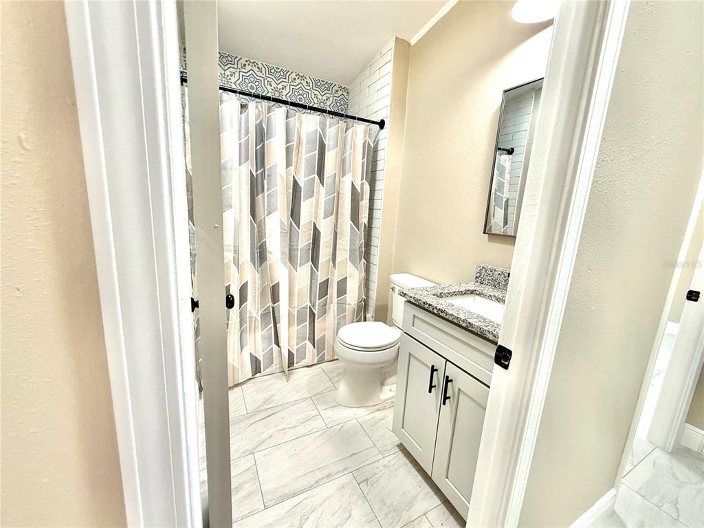 17726 Dorman Road Lithia, FL 33547 - Photo 8 of 16 a bathroom with a sink a toilet and shower curtain