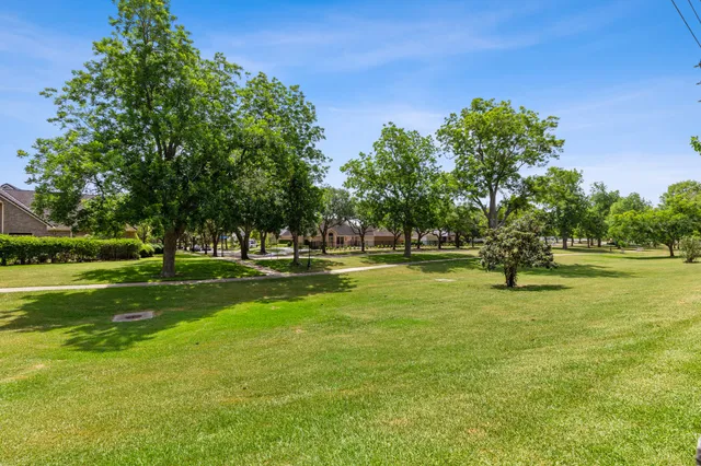 a view of a park with tree s