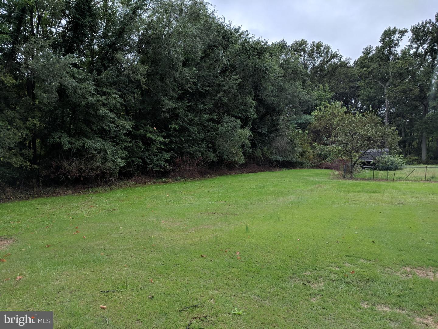 230 Penns Grove Auburn Road Carneys Point, NJ 08069 - Photo 3 of 13 Back Yard