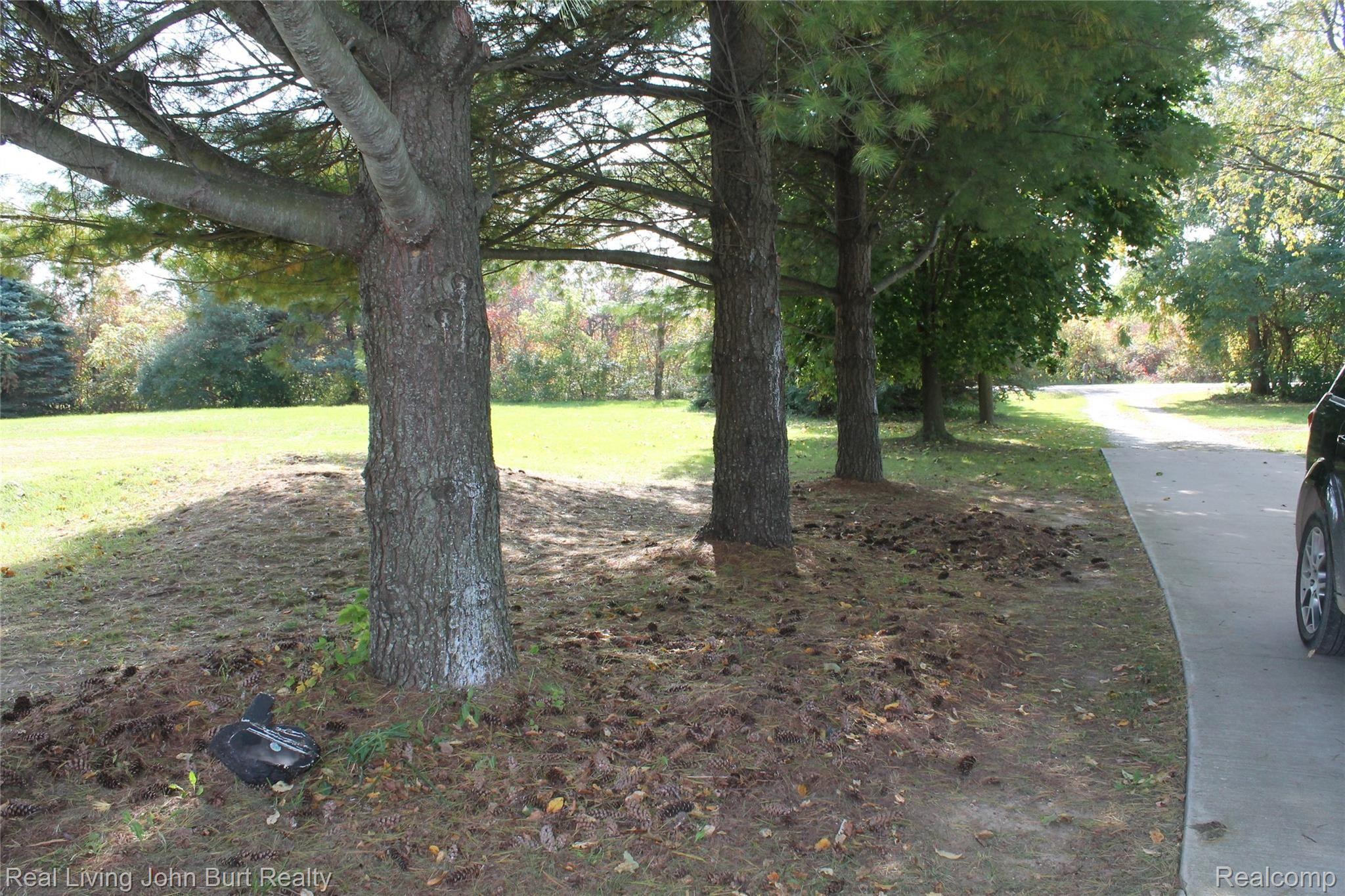 7573 Bordman Road Almont, MI 48003 - Photo 31 of 33 IMG_9605.JPG