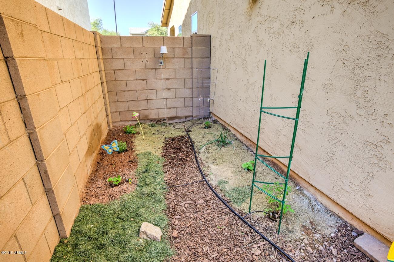1671 South Rochester Drive Gilbert, AZ 85295 - Photo 29 of 40 IMG_8039_40_41