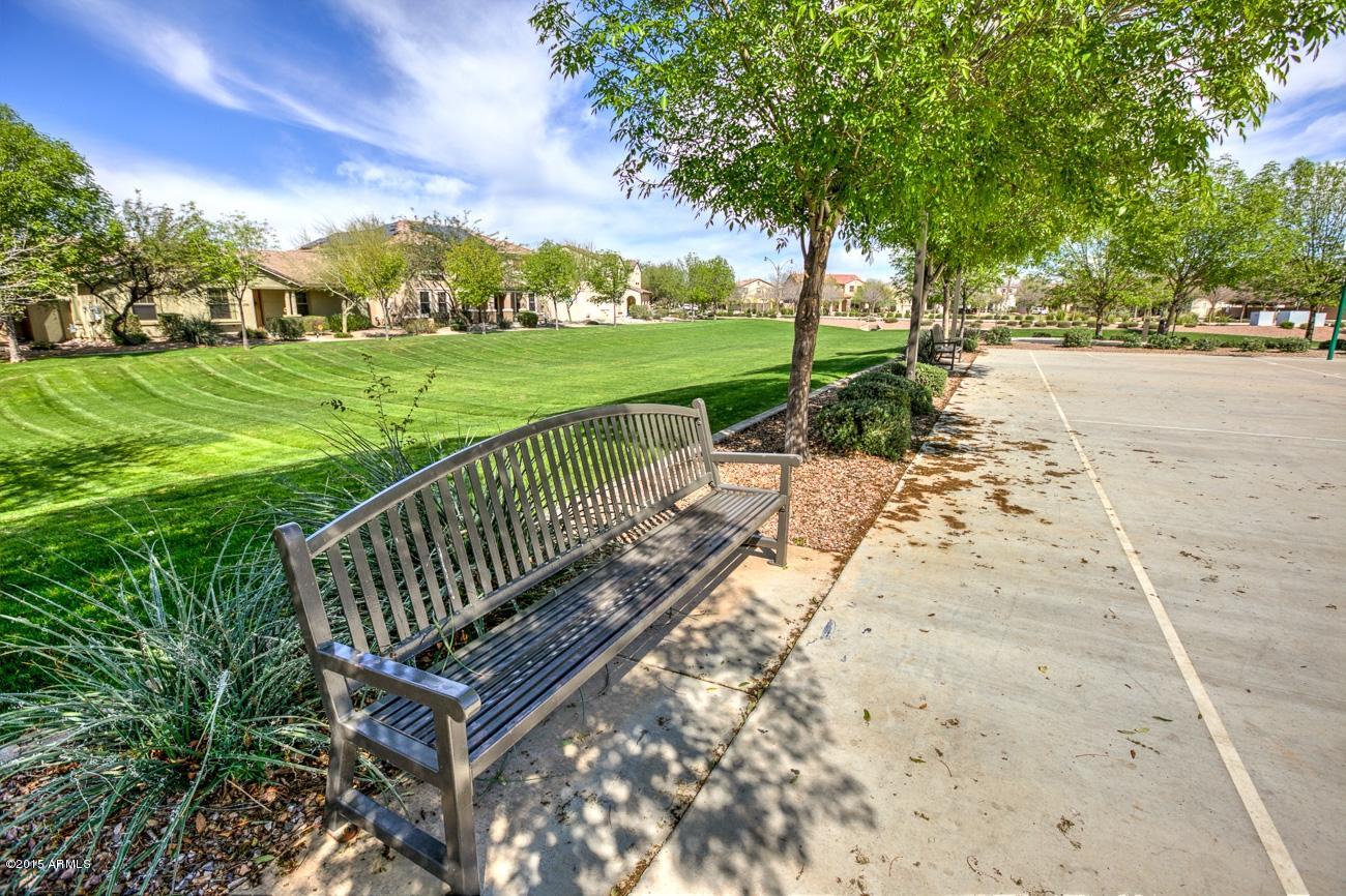 1671 South Rochester Drive Gilbert, AZ 85295 - Photo 31 of 40 IMG_8066_7_8