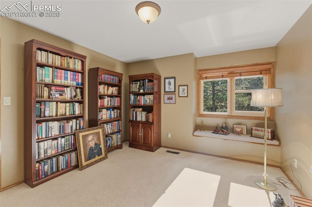 460 St Moritz Way Monument, CO 80132 - Photo 29 of 43