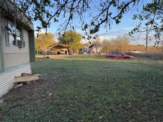 a view of a yard with a large tree