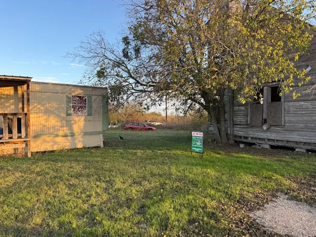 a view of backyard with tree