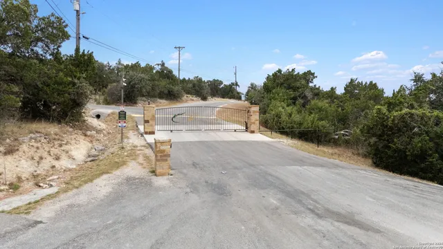 a view of a yard with trees