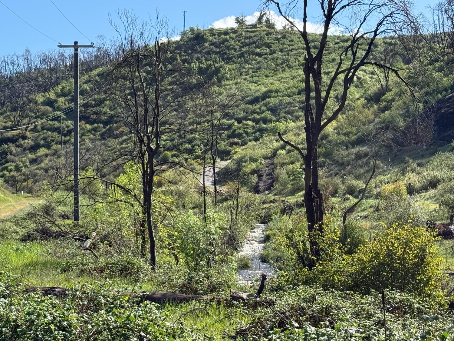 20976 Clydesdale Road Grass Valley, CA 95949 - Photo 11 of 54