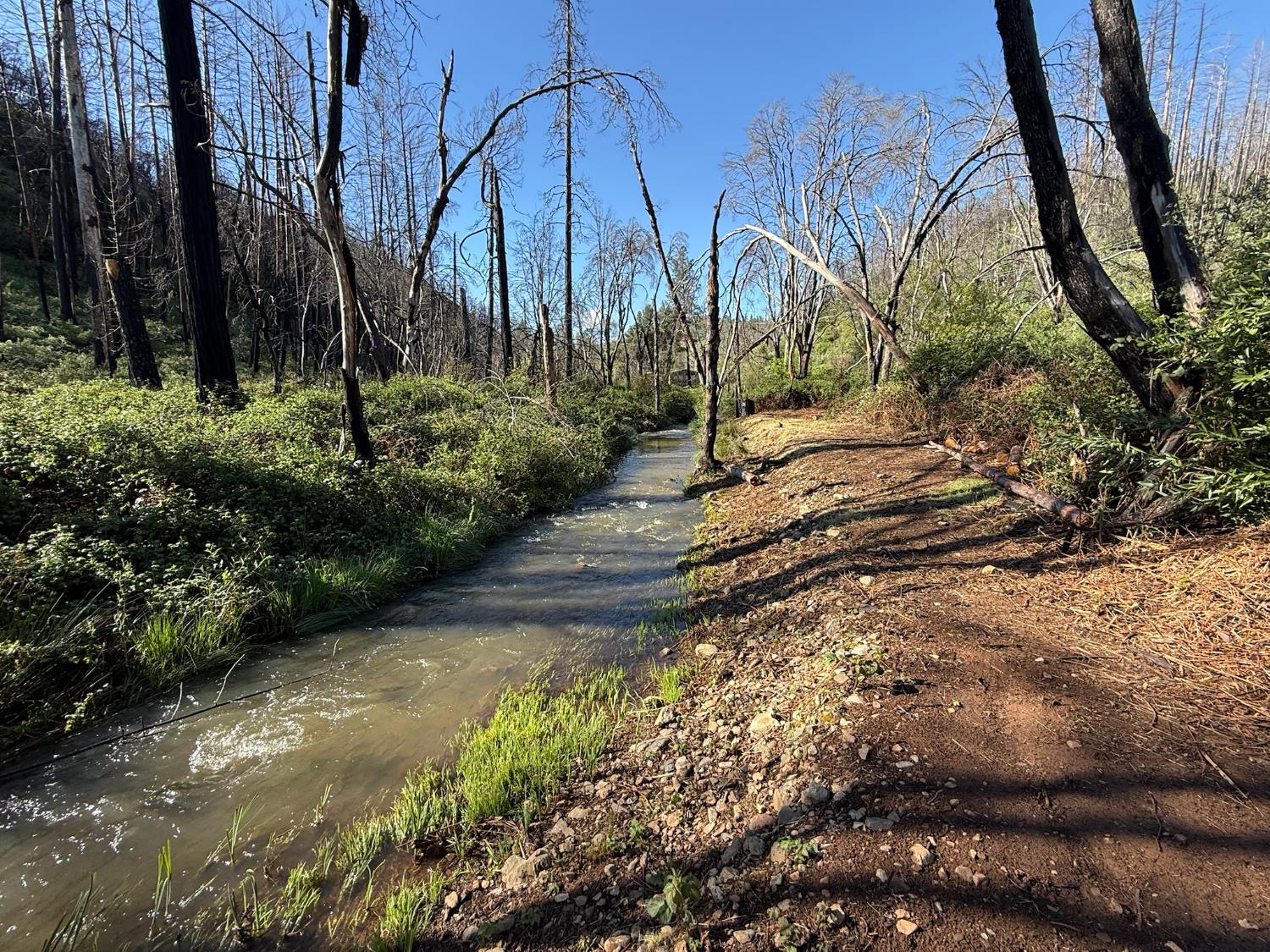 20976 Clydesdale Road Grass Valley, CA 95949 - Photo 12 of 54 a view of a backyard of the house