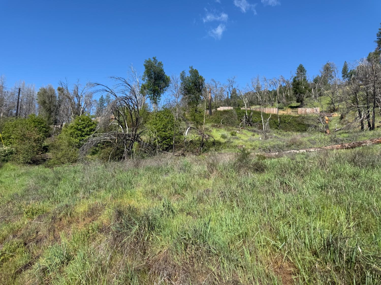 20976 Clydesdale Road Grass Valley, CA 95949 - Photo 14 of 54