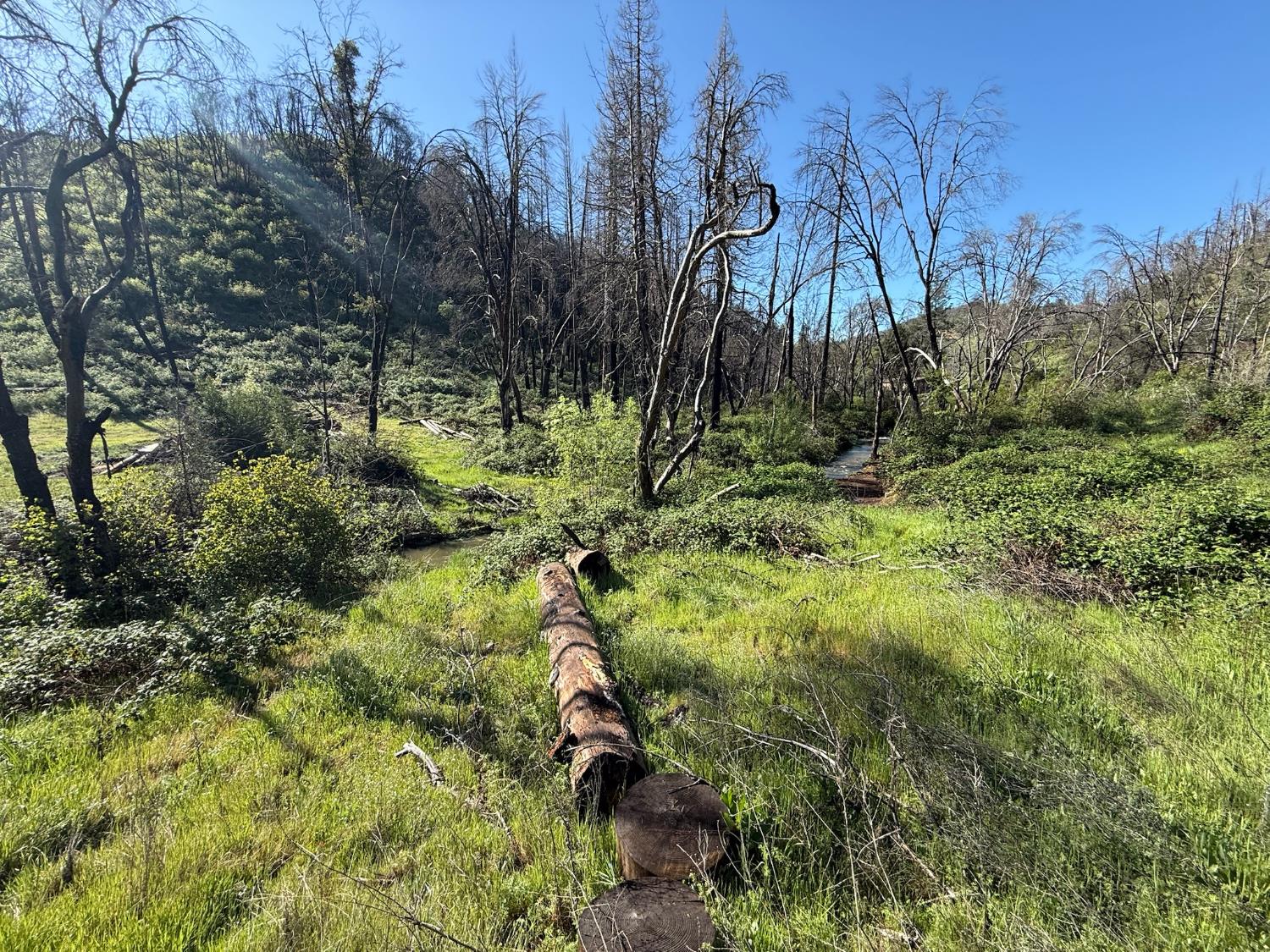 20976 Clydesdale Road Grass Valley, CA 95949 - Photo 15 of 54