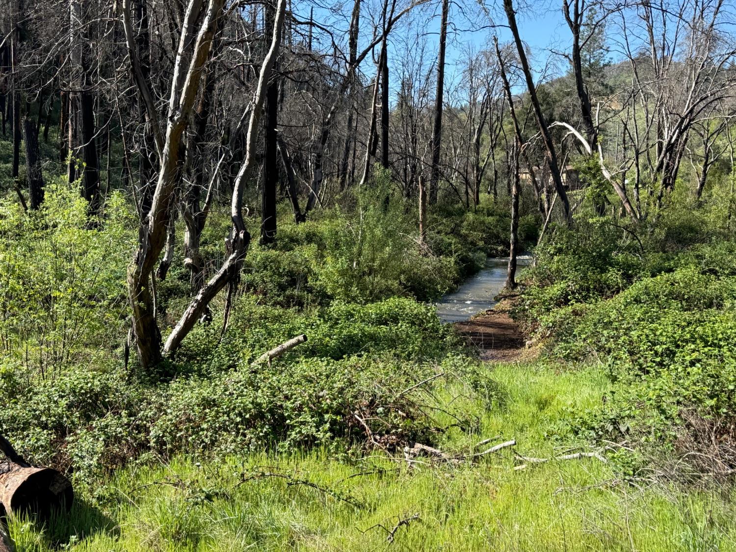 20976 Clydesdale Road Grass Valley, CA 95949 - Photo 16 of 54
