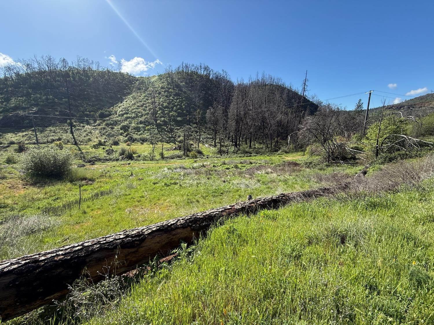 20976 Clydesdale Road Grass Valley, CA 95949 - Photo 19 of 54