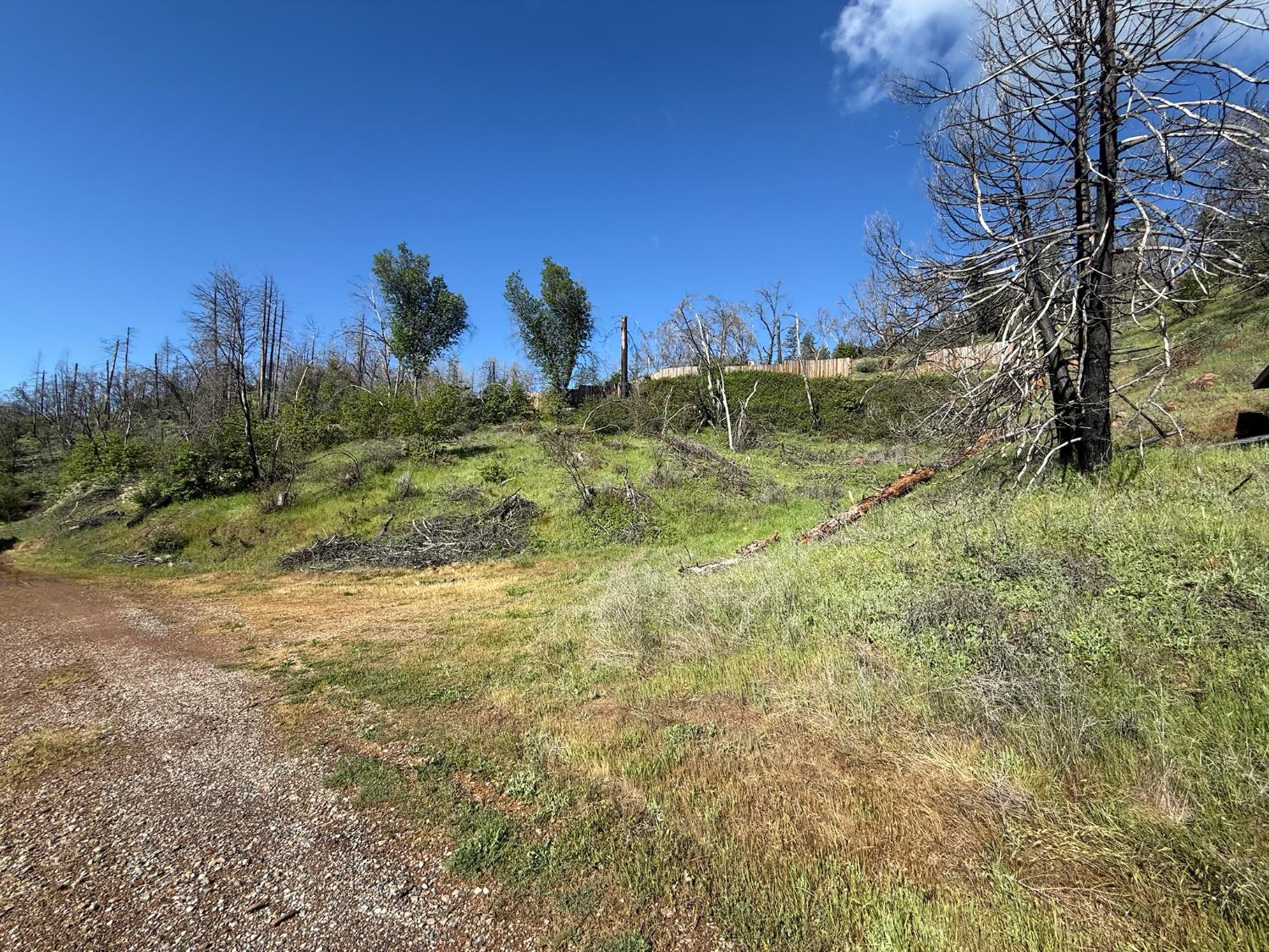 20976 Clydesdale Road Grass Valley, CA 95949 - Photo 20 of 54