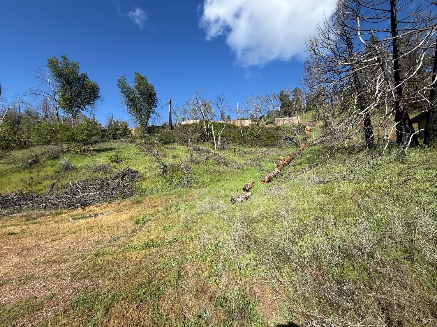 20976 Clydesdale Road Grass Valley, CA 95949 - Photo 21 of 54