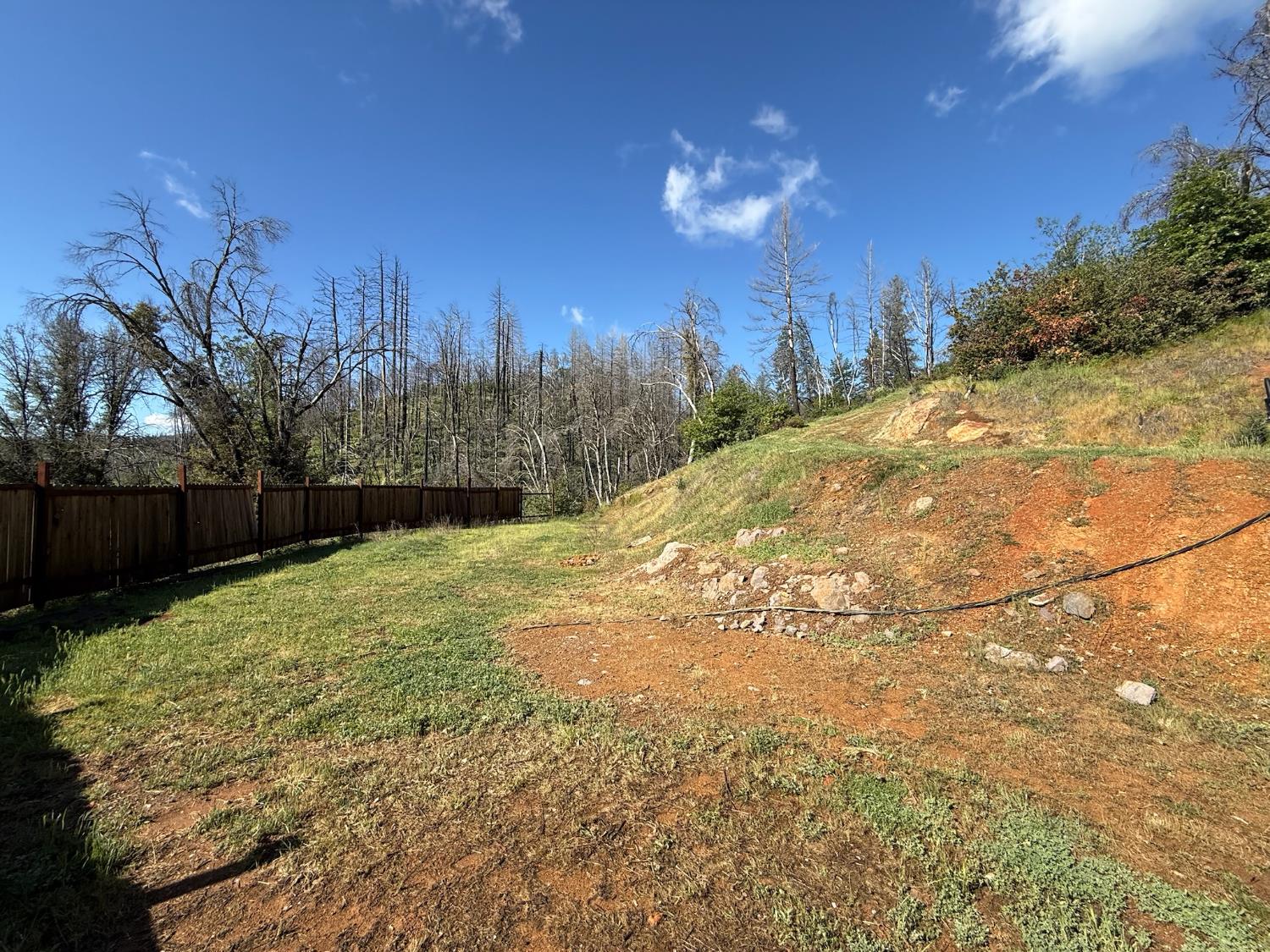 20976 Clydesdale Road Grass Valley, CA 95949 - Photo 23 of 54 a view of a yard with palm trees