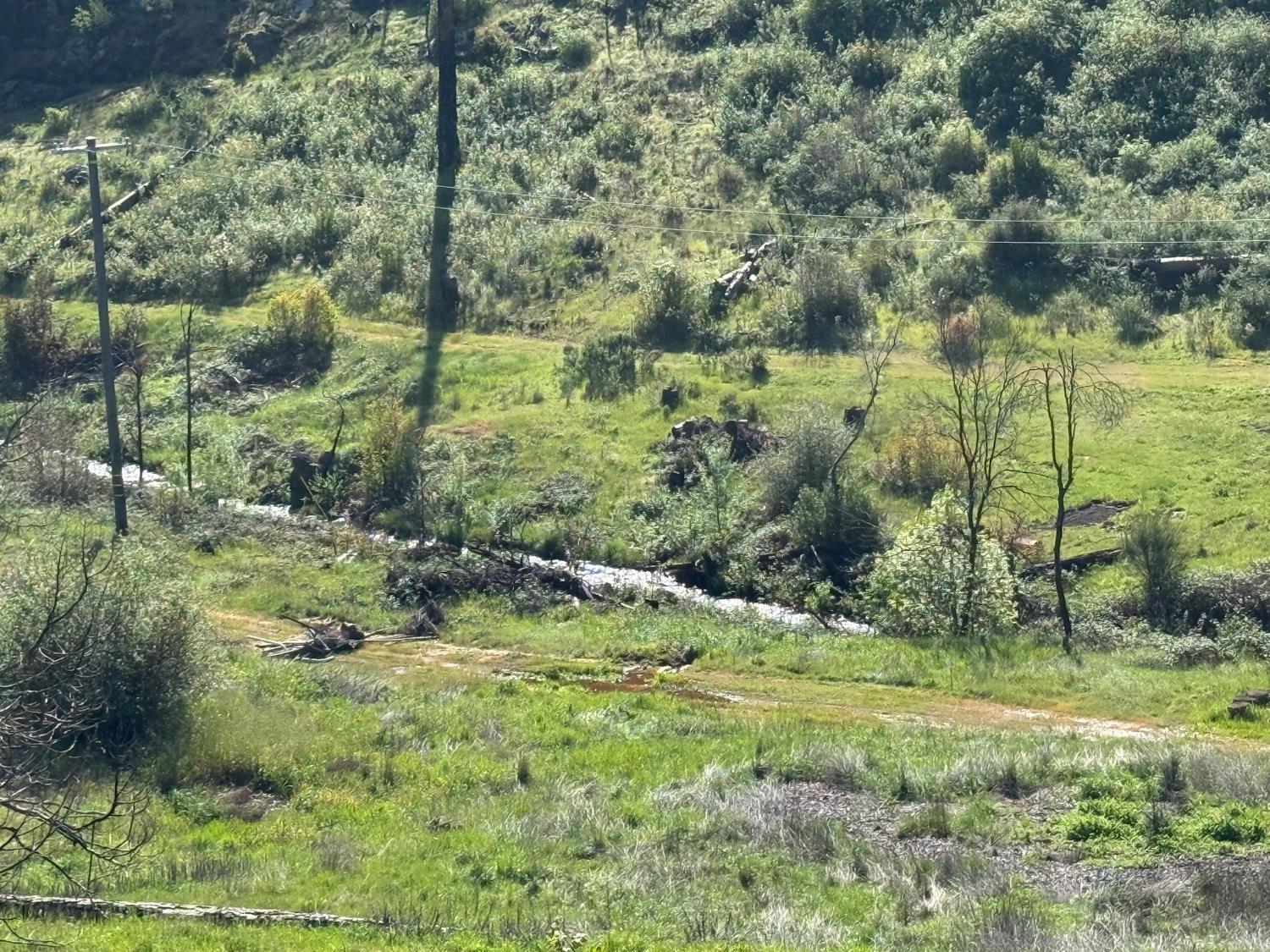 20976 Clydesdale Road Grass Valley, CA 95949 - Photo 24 of 54 a view of a lush green forest with a house