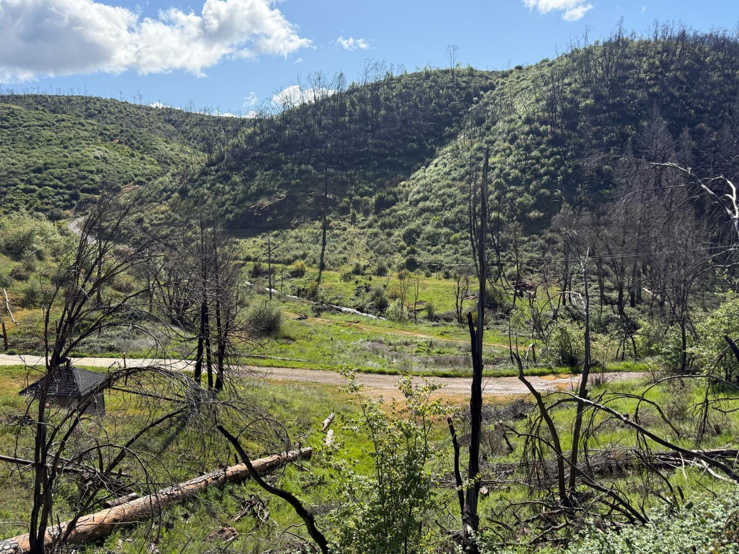 20976 Clydesdale Road Grass Valley, CA 95949 - Photo 25 of 54
