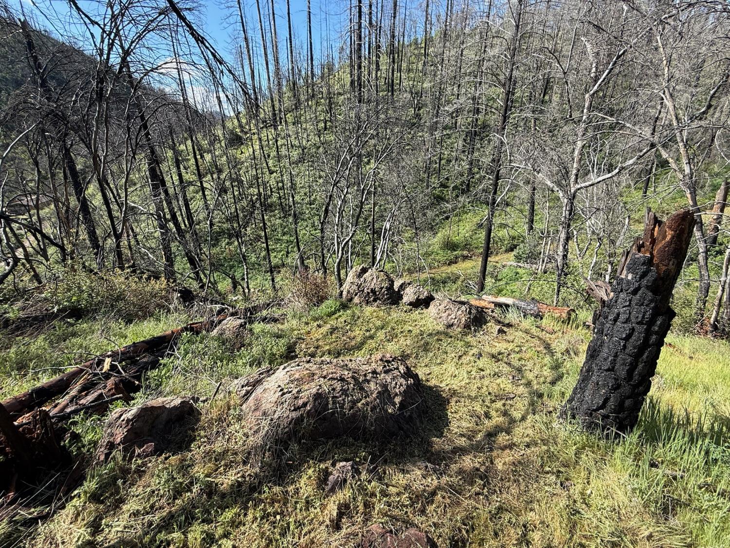 20976 Clydesdale Road Grass Valley, CA 95949 - Photo 29 of 54