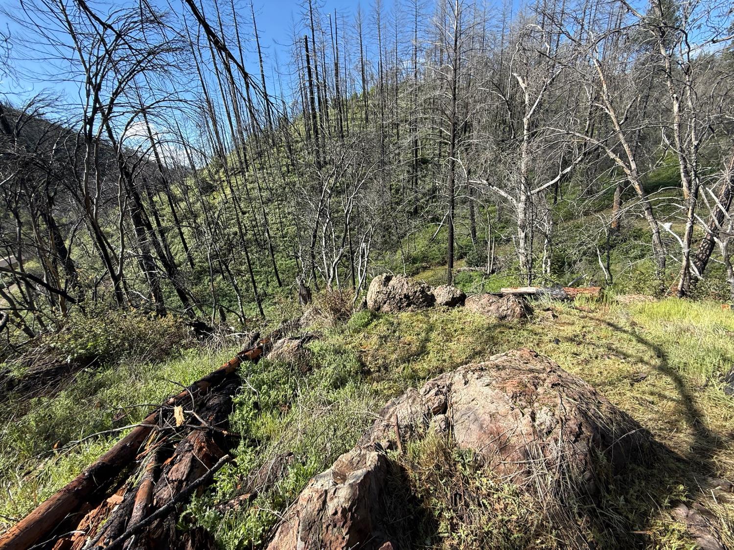 20976 Clydesdale Road Grass Valley, CA 95949 - Photo 30 of 54