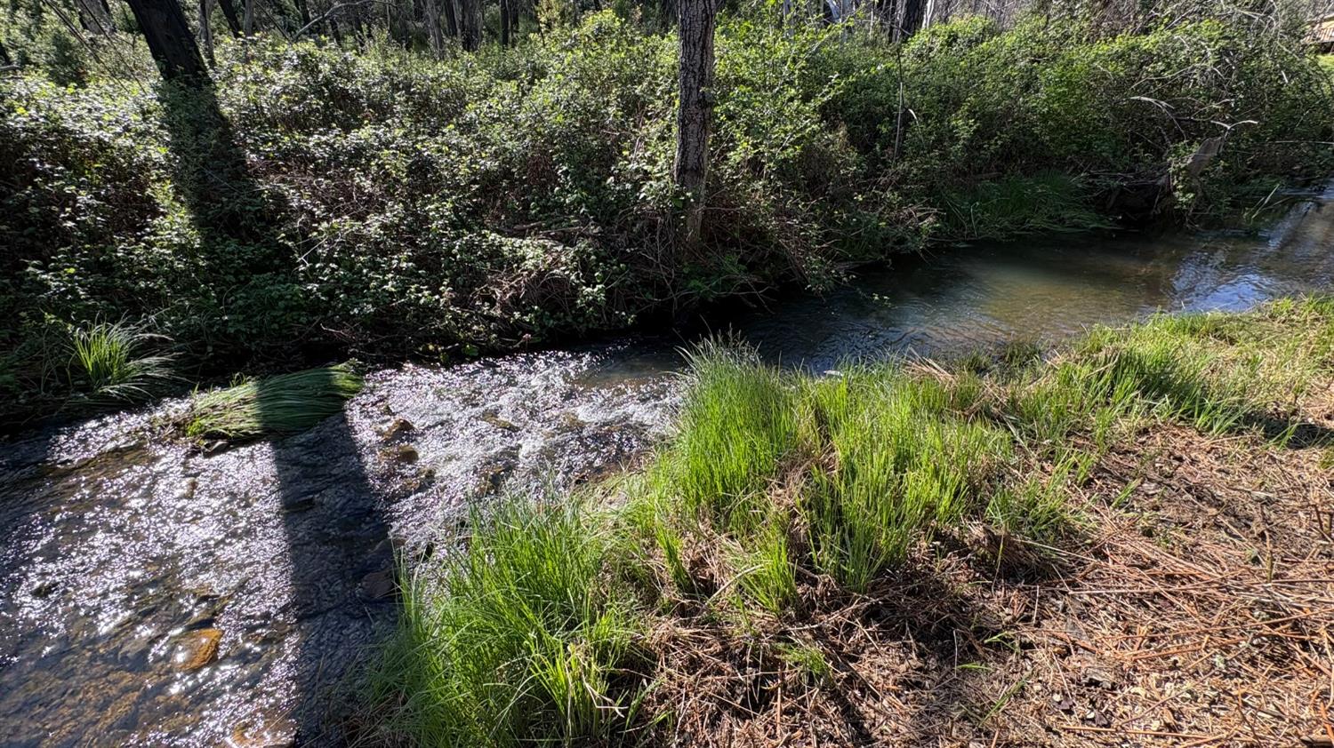 20976 Clydesdale Road Grass Valley, CA 95949 - Photo 3 of 54 a view of a lake with large trees