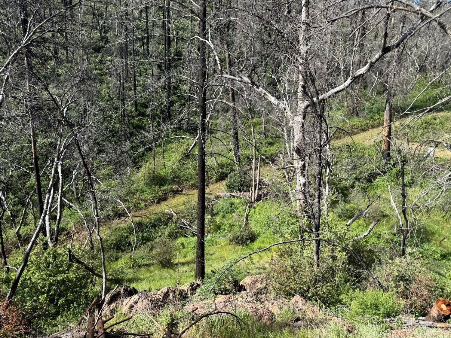 20976 Clydesdale Road Grass Valley, CA 95949 - Photo 31 of 54