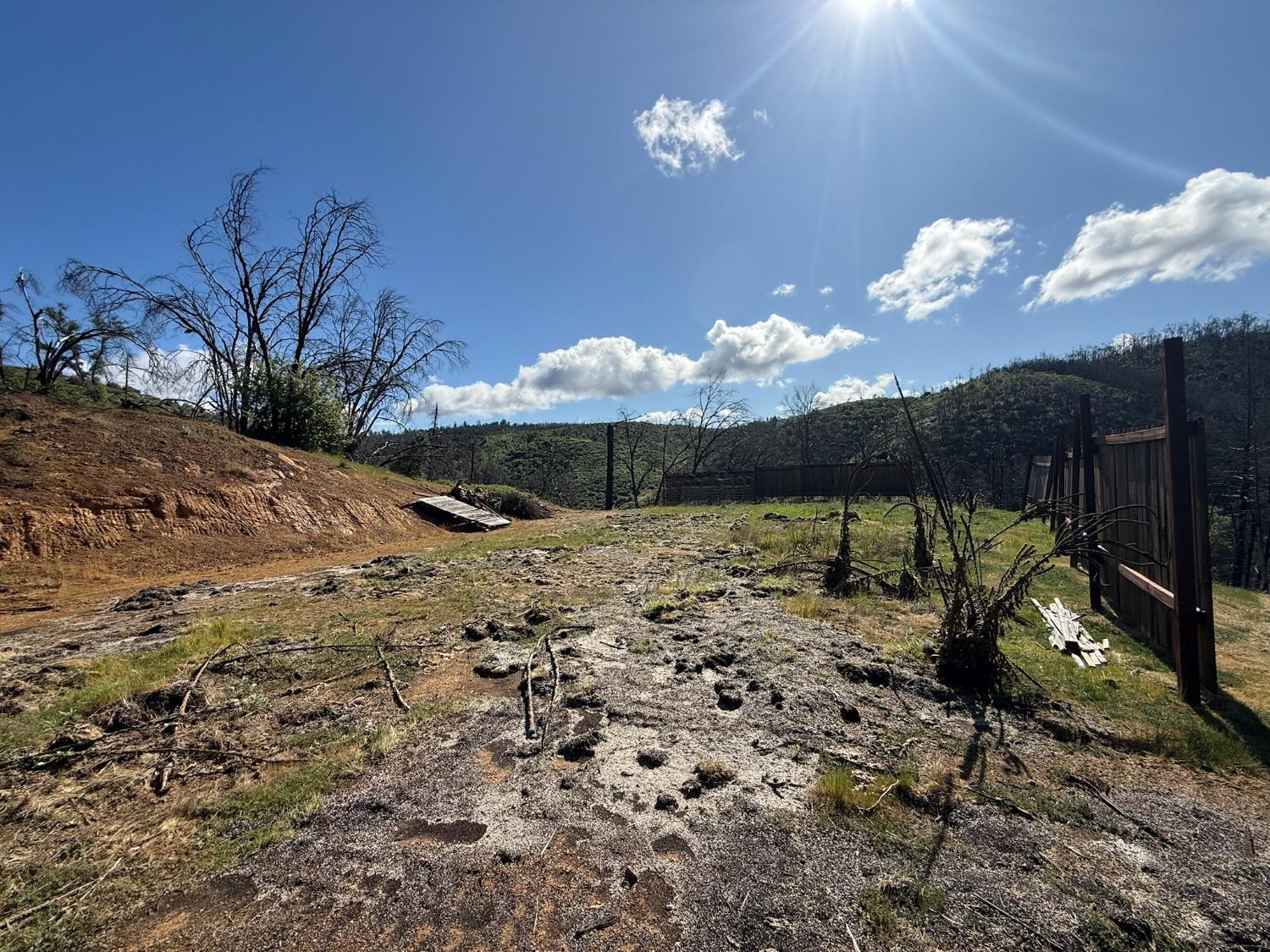 20976 Clydesdale Road Grass Valley, CA 95949 - Photo 32 of 54 a view of a backyard with a barbeque grill and a yard