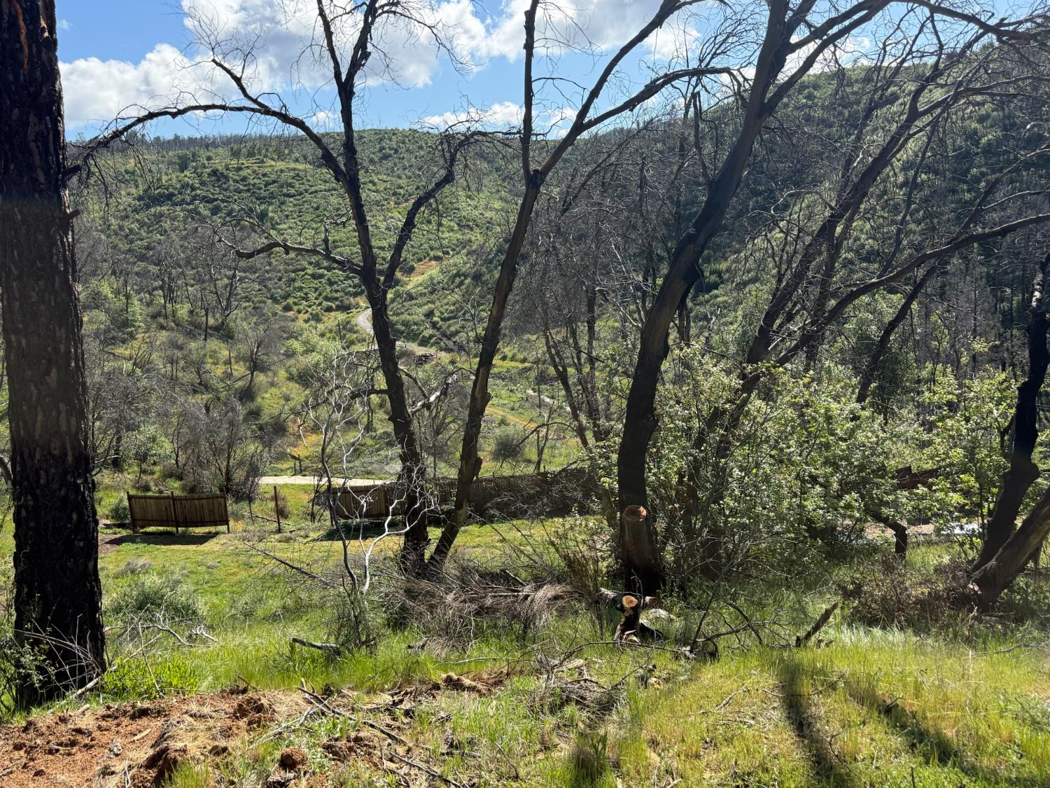 20976 Clydesdale Road Grass Valley, CA 95949 - Photo 33 of 54 a backyard of a house with lots of green space
