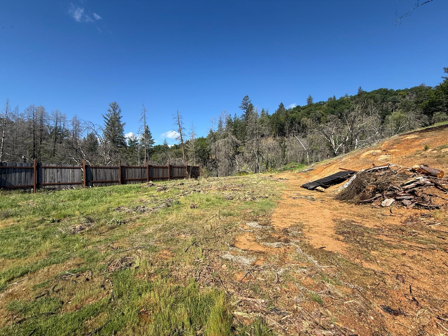 20976 Clydesdale Road Grass Valley, CA 95949 - Photo 35 of 54 a view of a yard with a tree