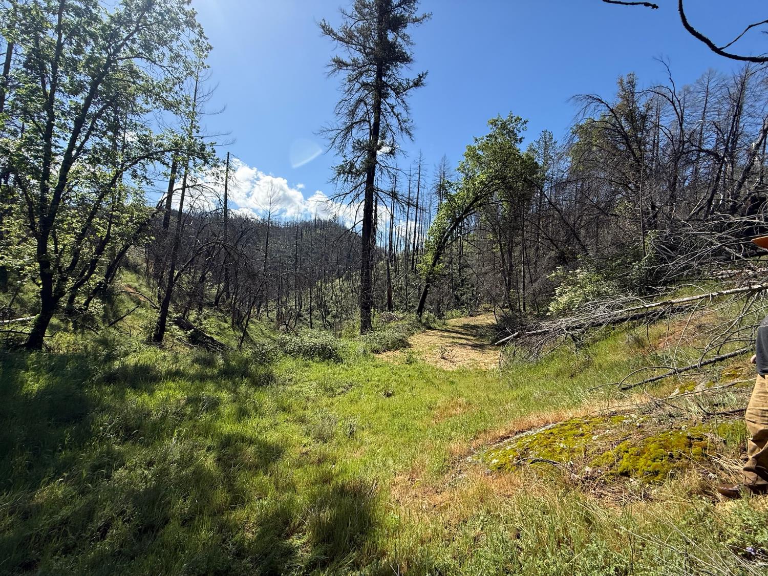 20976 Clydesdale Road Grass Valley, CA 95949 - Photo 39 of 54