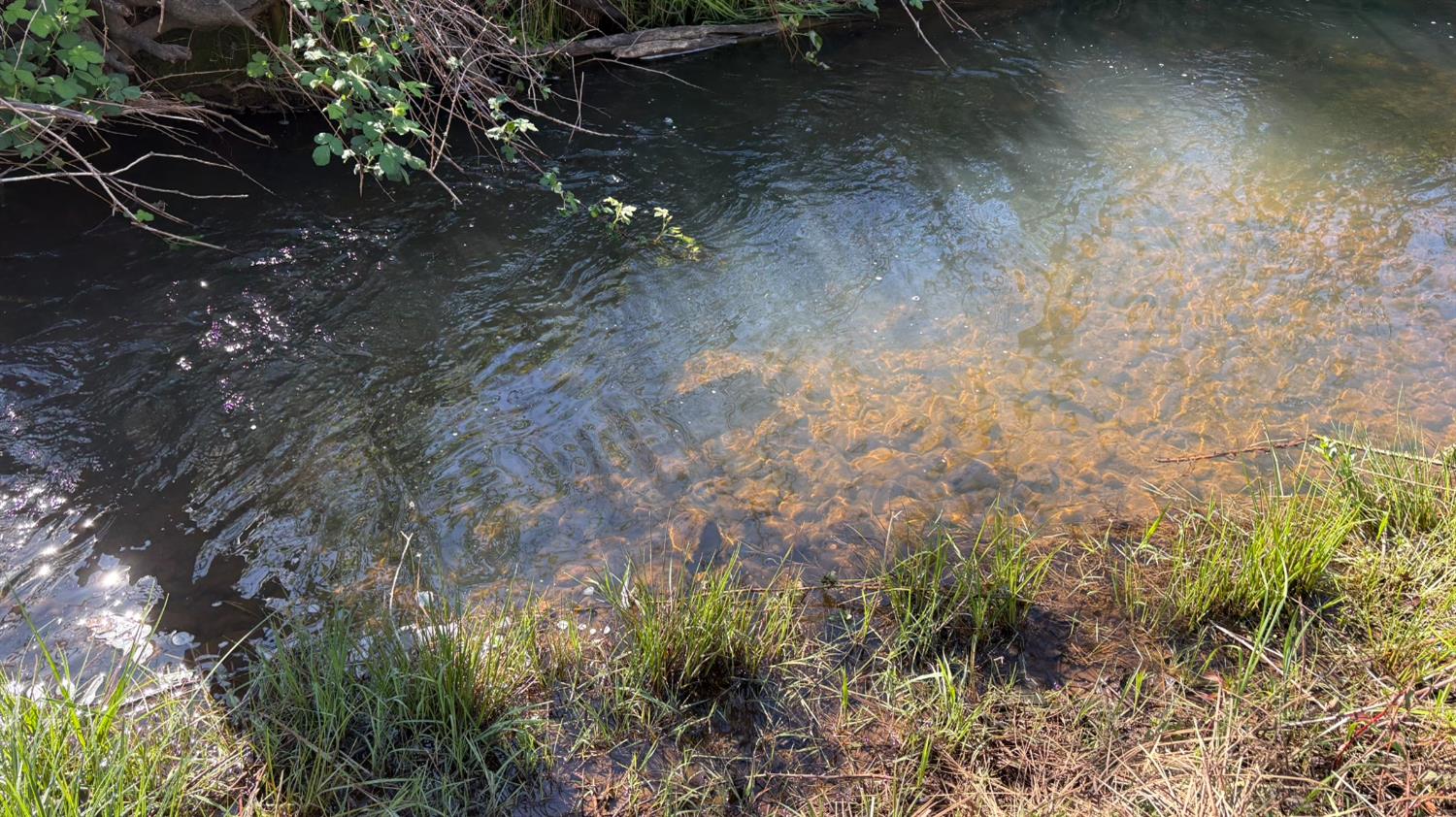 20976 Clydesdale Road Grass Valley, CA 95949 - Photo 4 of 54