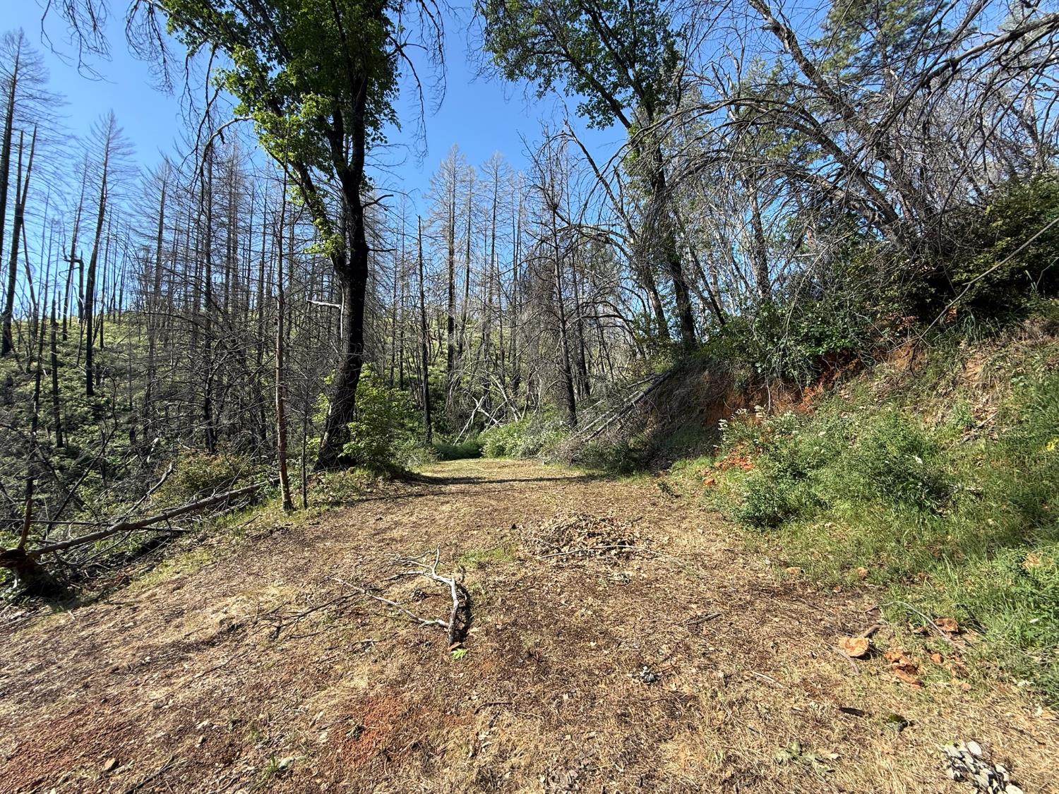 20976 Clydesdale Road Grass Valley, CA 95949 - Photo 42 of 54