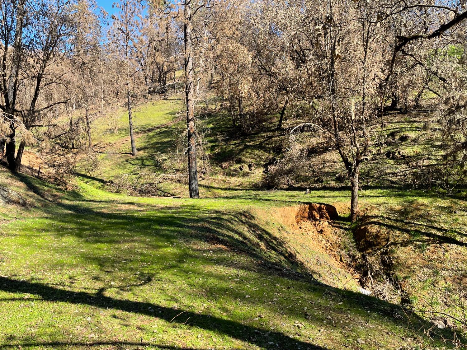 20976 Clydesdale Road Grass Valley, CA 95949 - Photo 48 of 54