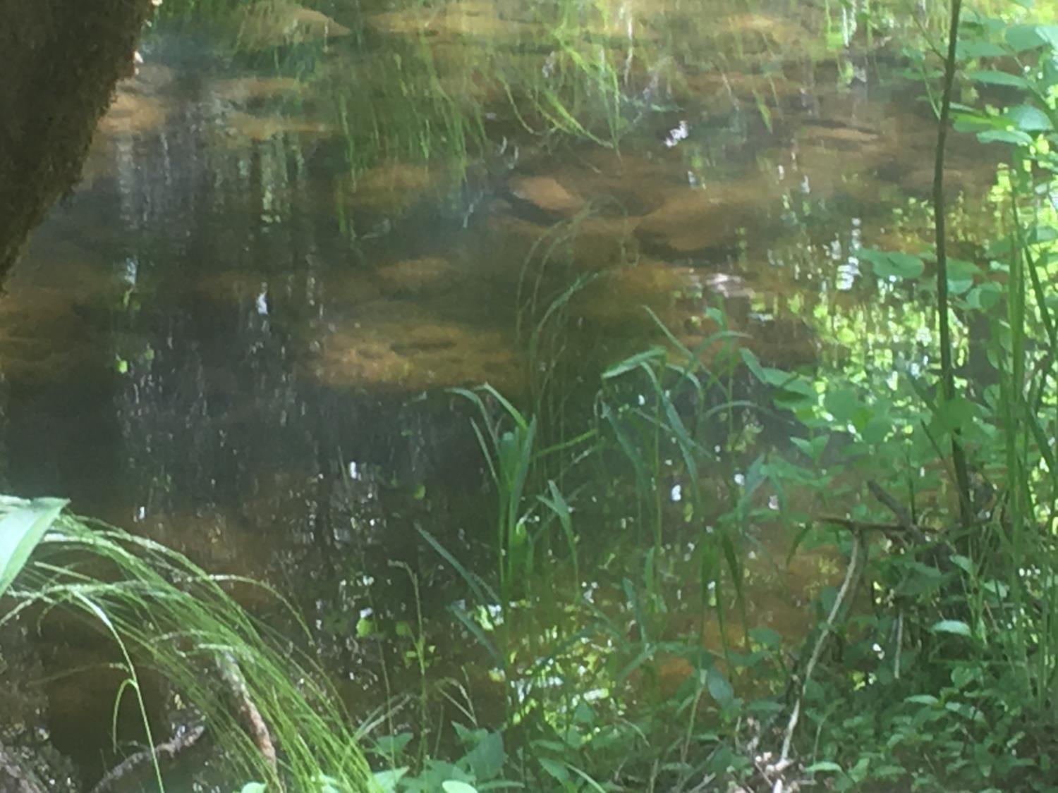 20976 Clydesdale Road Grass Valley, CA 95949 - Photo 49 of 54