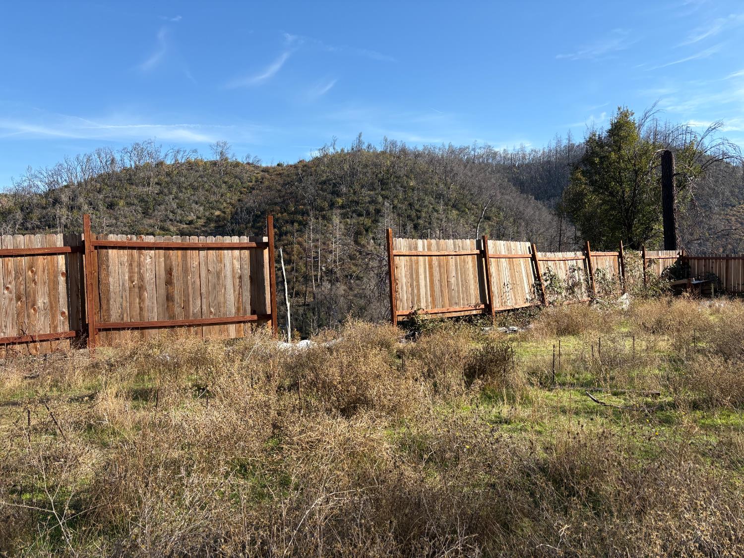20976 Clydesdale Road Grass Valley, CA 95949 - Photo 52 of 54 a view of backyard of house