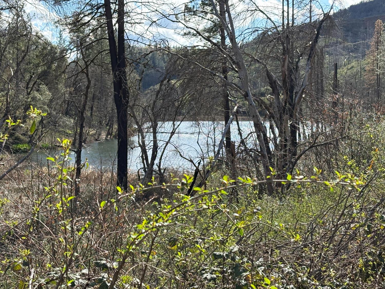 20976 Clydesdale Road Grass Valley, CA 95949 - Photo 53 of 54