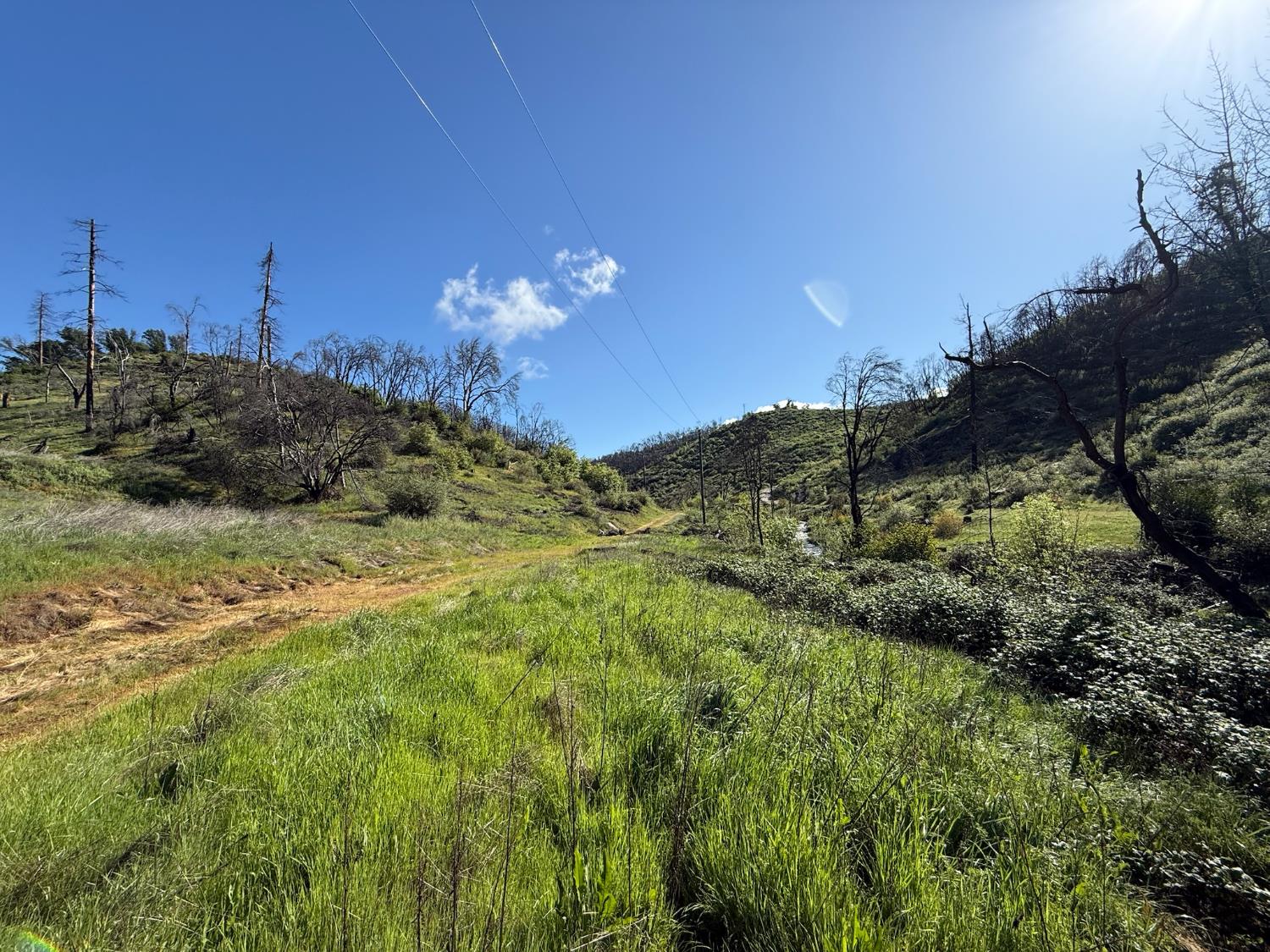 20976 Clydesdale Road Grass Valley, CA 95949 - Photo 6 of 54 a view of a big yard with lots of green space