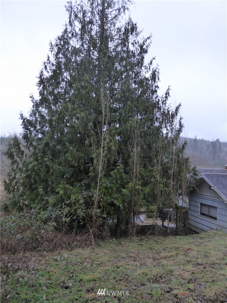 115 Coal Creek Road Chehalis, WA 98532 - Photo 9 of 12