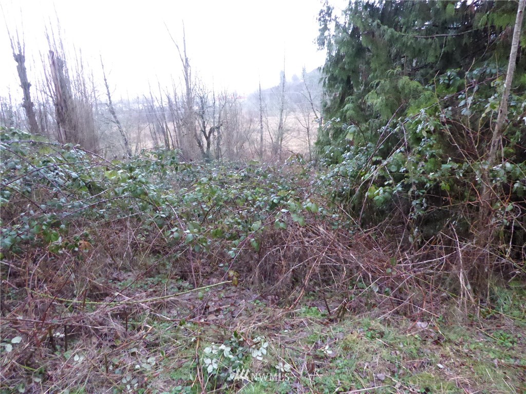 115 Coal Creek Road Chehalis, WA 98532 - Photo 10 of 12