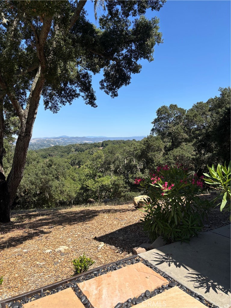 2570 Alturas Road Atascadero, CA 93422 - Photo 5 of 64