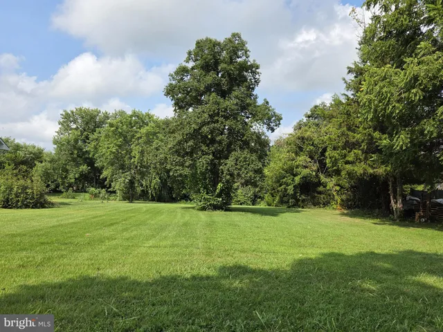 a view of a grassy field with trees in the background