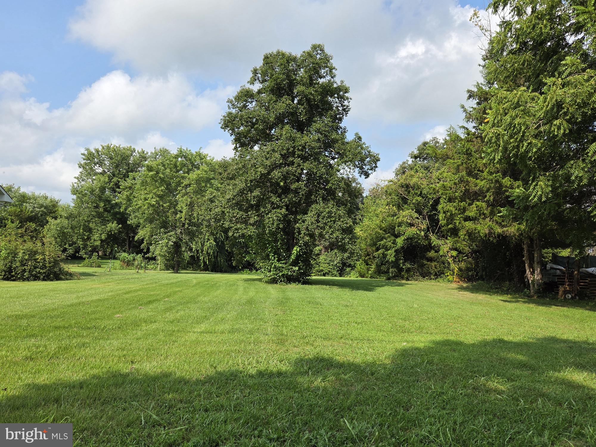 0 Howellsville Road Front Royal, VA 22630 - Photo 1 of 7 a view of a grassy field with trees in the background