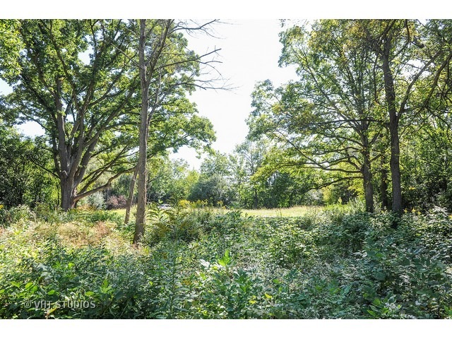 350 West Everett Road Lake Forest, IL 60045 - Photo 2 of 7