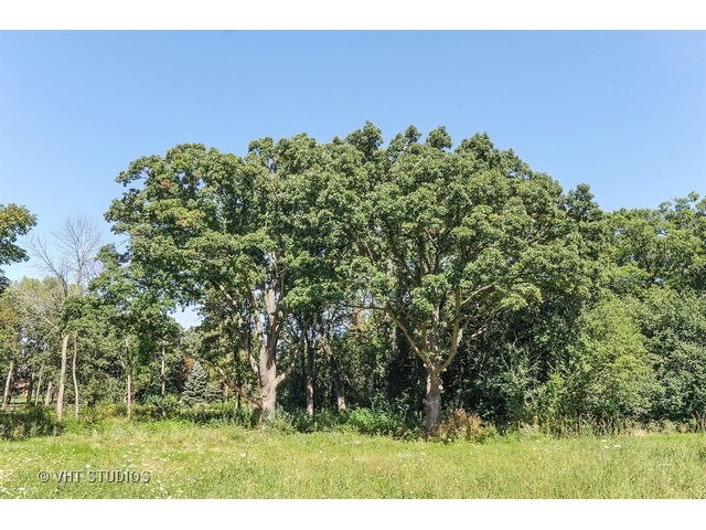 350 West Everett Road Lake Forest, IL 60045 - Photo 4 of 7