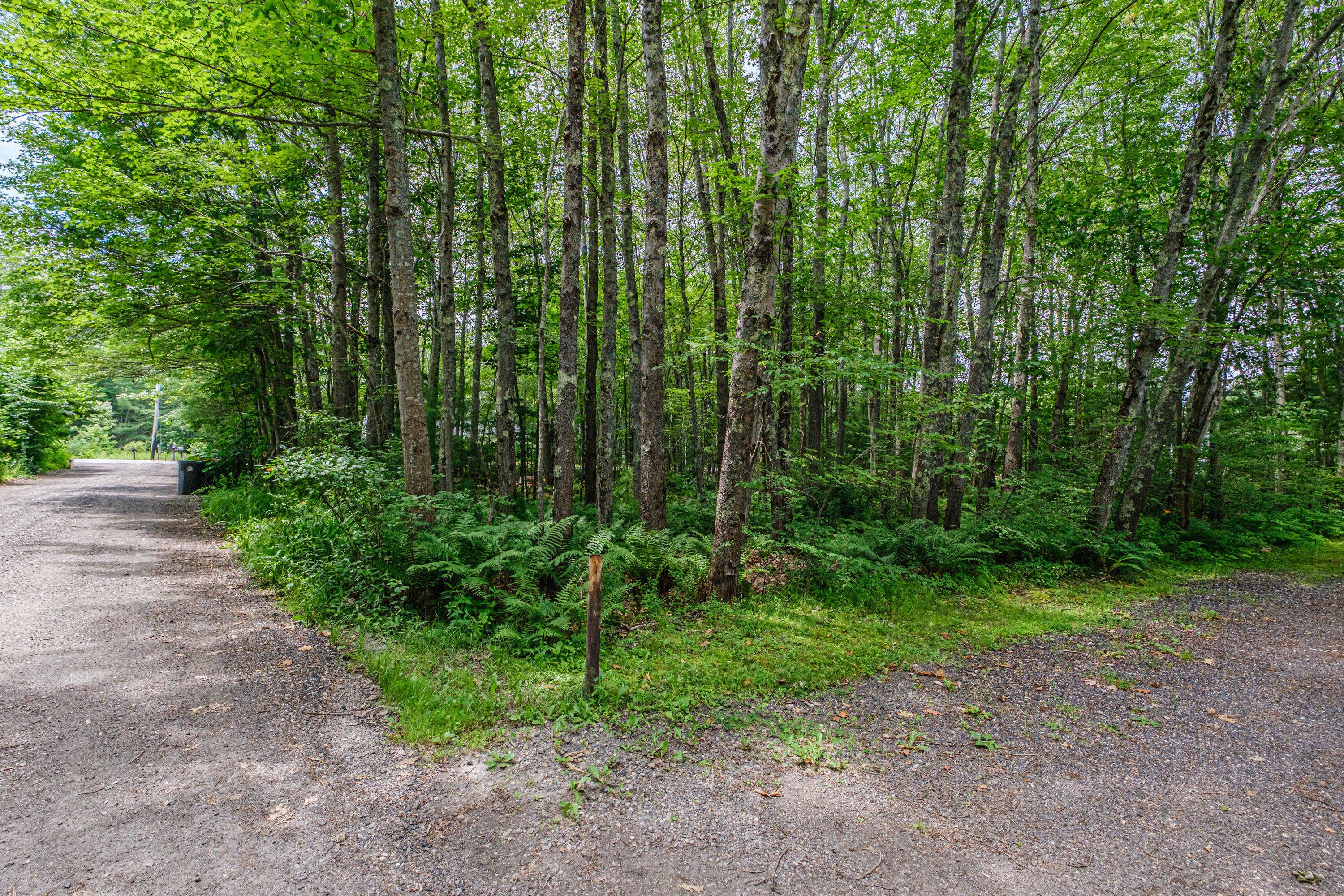 143 Broadturn Road Scarborough, ME 04074 - Photo 79 of 82 20250707gp-62074