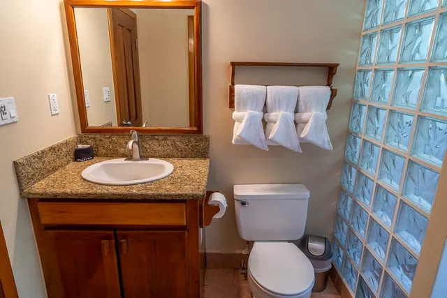 a bathroom with a granite countertop toilet sink and mirror