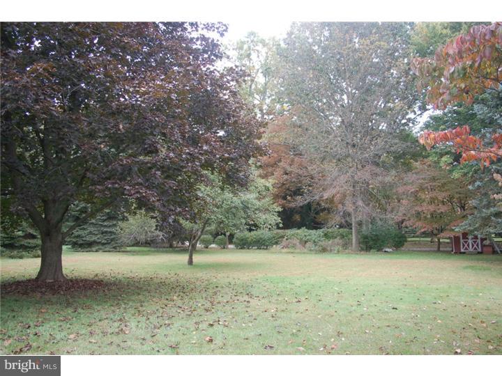 2505 Grant Road Broomall, PA 19008 - Photo 21 of 22 Back Yard