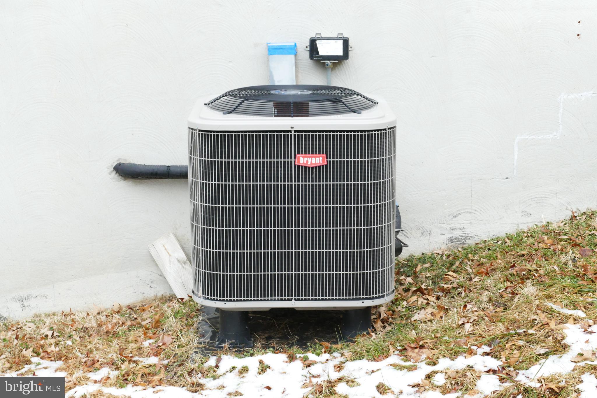 7816 Mallow Court Pasadena, MD 21122 - Photo 21 of 24