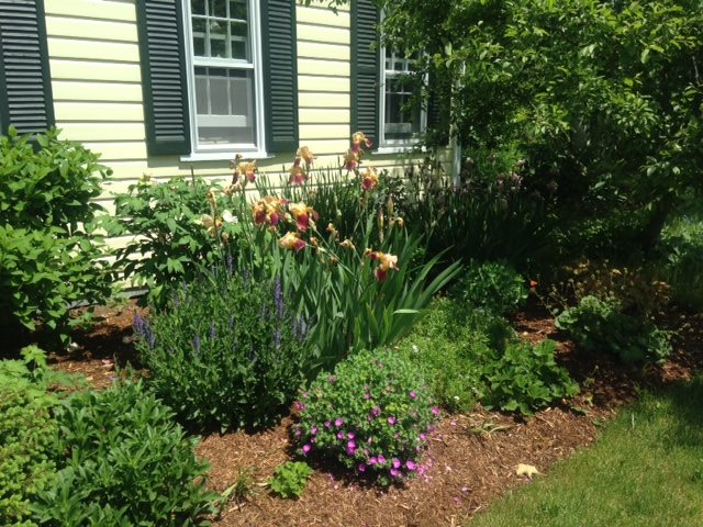 517 Lower Hollow Road Dorset, VT 05251 - Photo 23 of 38 Gallery Image 23